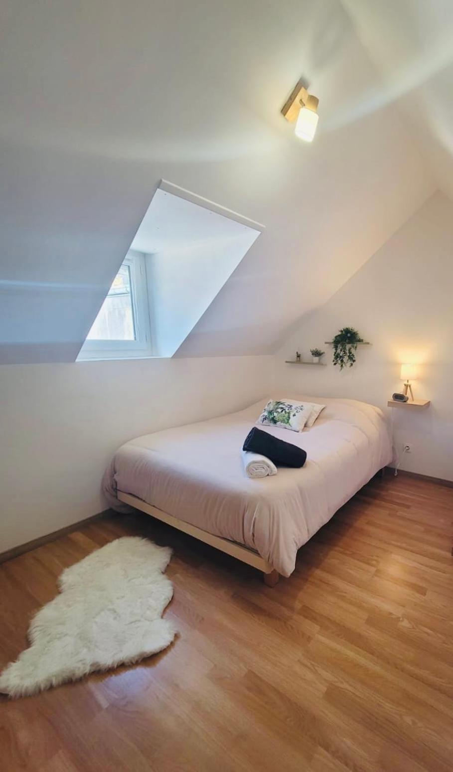 Le Jardin Des Plantes Et F2 Au Calmes, Terrasse, Stationnement Gratuit Appartement *