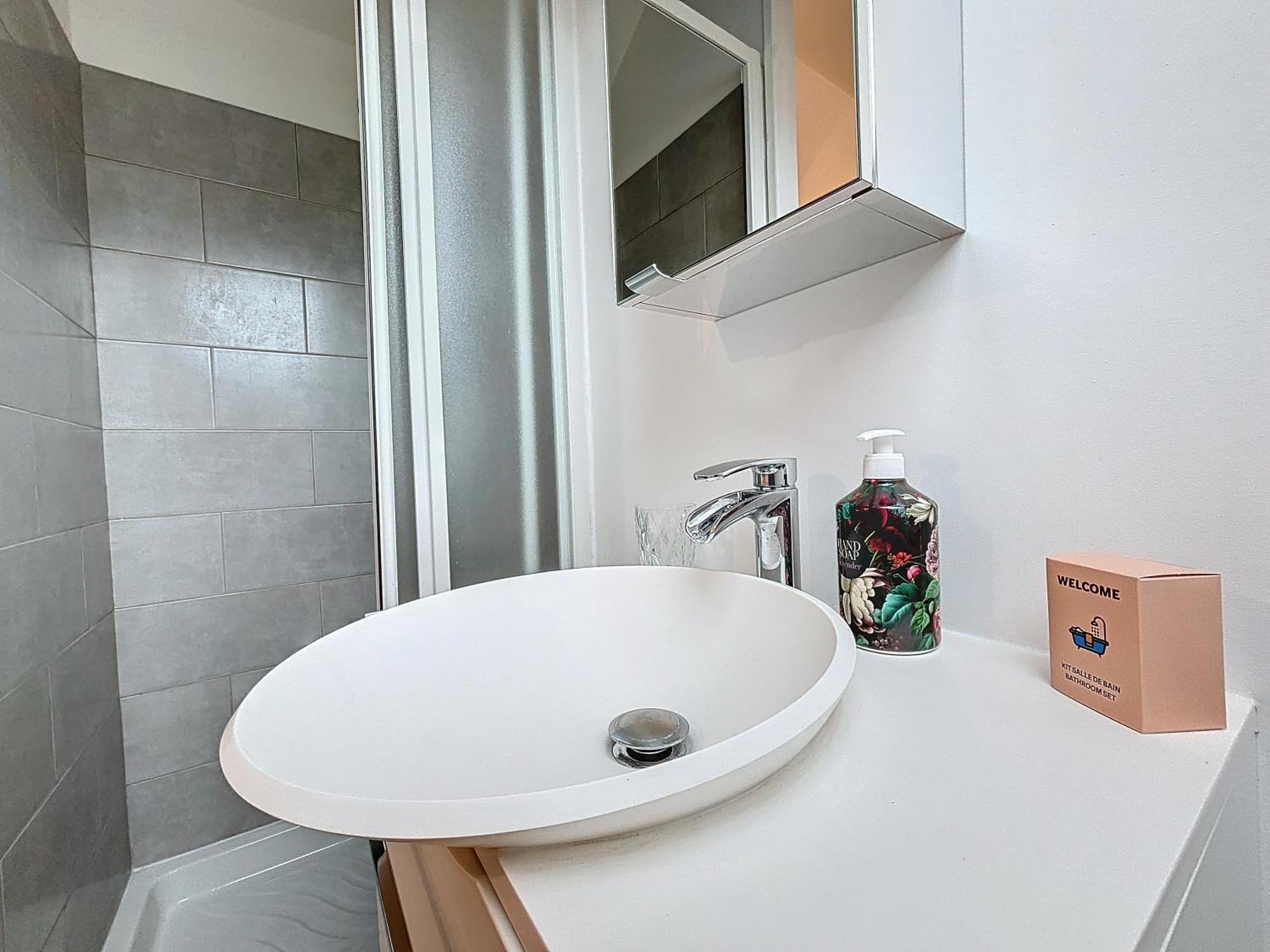 Appartement Le Jardin Des Plantes Et F2 Au Calmes, Terrasse, Stationnement Gratuit Rouen
